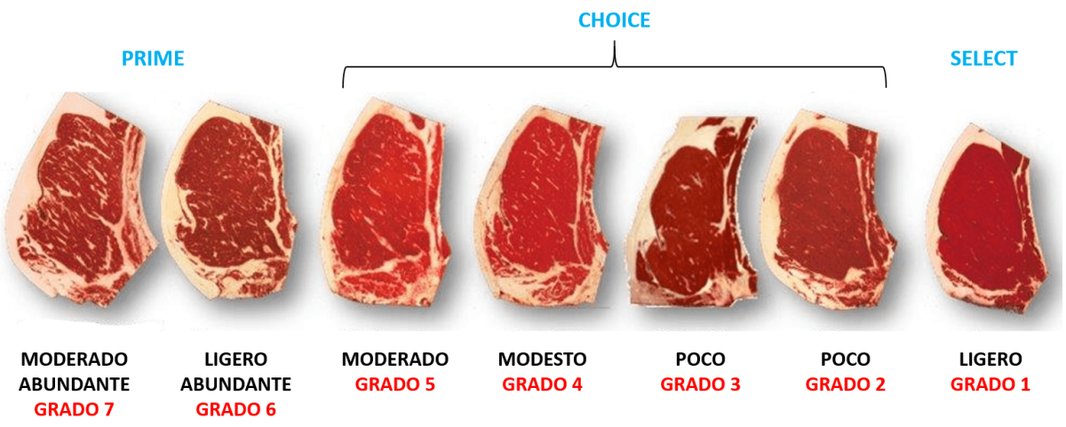 ¿ Cual es el mejor corte de carne para asar ?